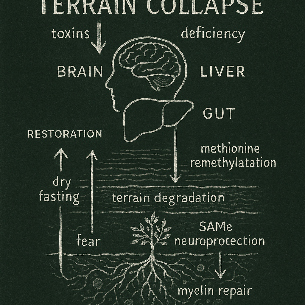 Terrain Collapse Diagram